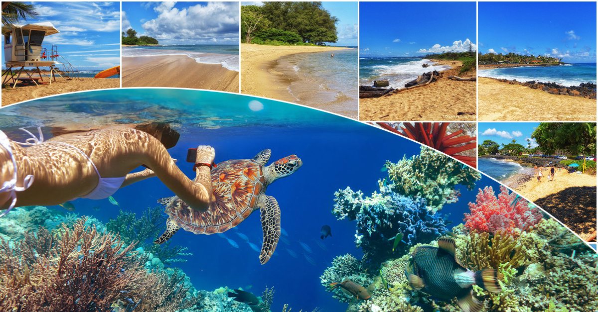 7 Best Kauai Snorkeling Spots | Videos, Photos, Parking, Facilities & More!