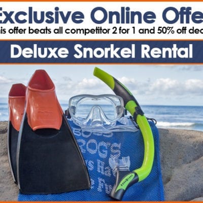 Maui snorkel set rentals - boss frog's online exclusive offer