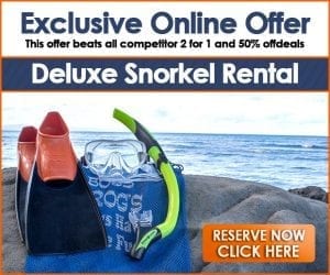 Boss Frog's Snorkel, Bike & Beach Rentals | Discount Activities