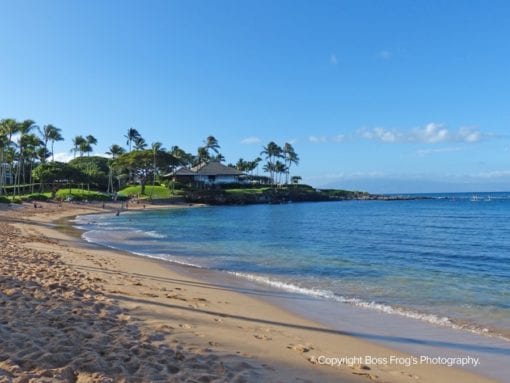 Kapalua Bay Snorkel Guide | Boss Frog's Hawaii