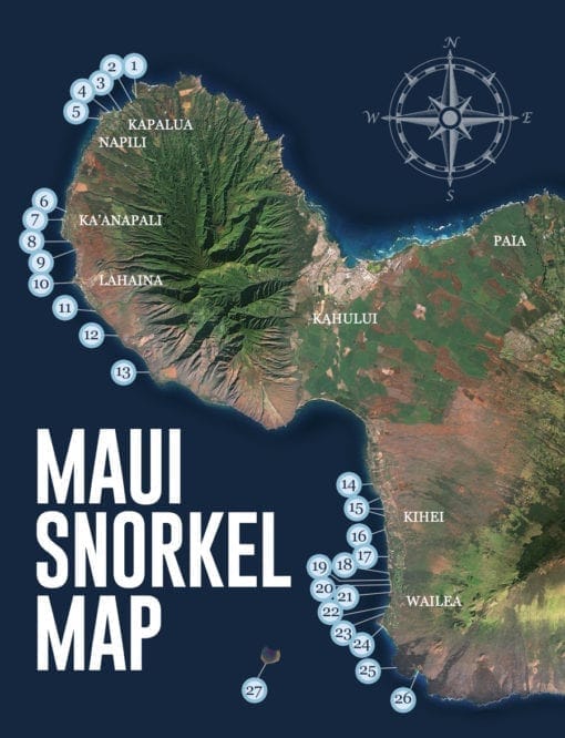 Best Maui Snorkeling and Beaches | Boss Frog's Hawaii