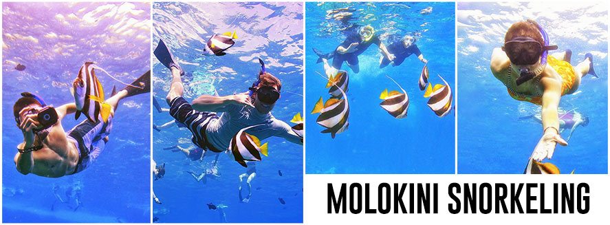 Molokini Crater Snorkeling