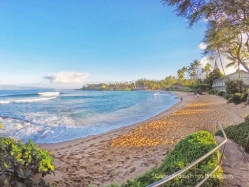 Best Maui Beaches | Boss Frog's Hawaii