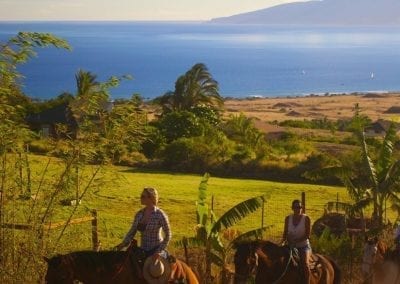 Lahaina Stables