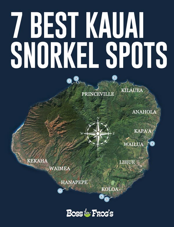 7 Best Kauai Snorkeling Spots Videos Photos Parking Facilities More