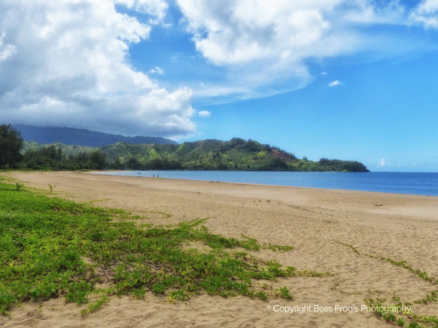 Hanalei Bay | Kauai Beaches
