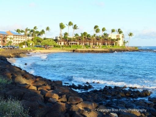 Prince Kuhio Lawai Beach | Boss Frog's Hawaii