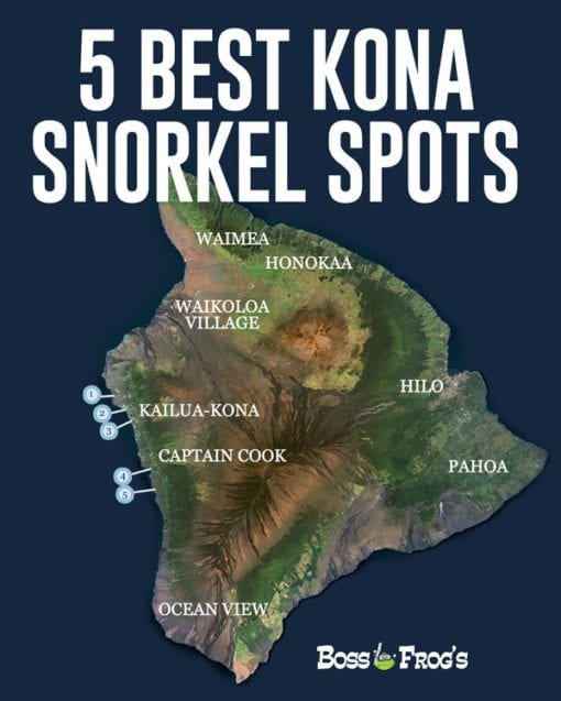 5 Best Kona Snorkeling Spots | Boss Frog's Hawaii