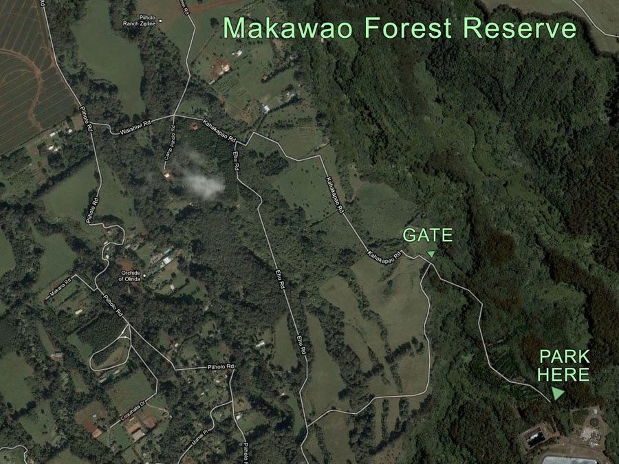 Makawao Forest Reserve Map