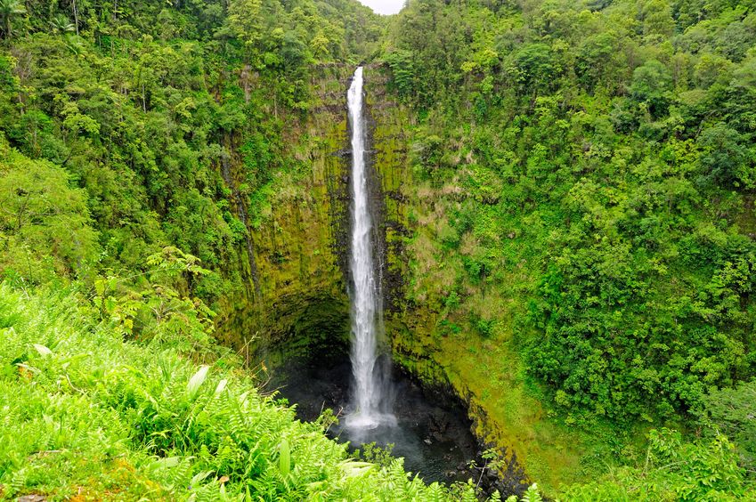  Akaka Falls