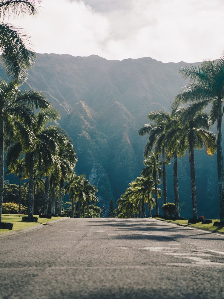 Hawaii_Vacation_Drive