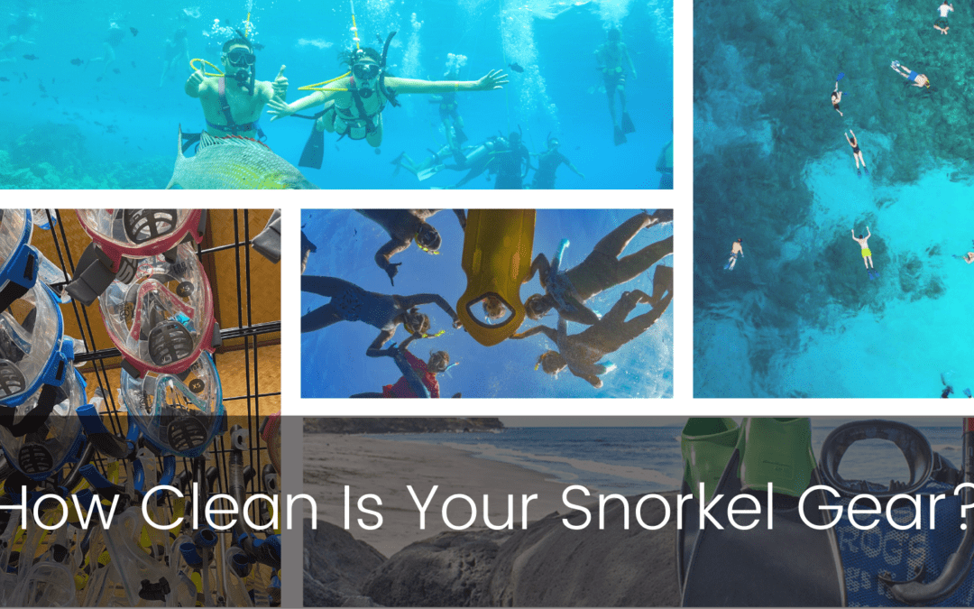 How Clean Is Your Snorkel Gear?