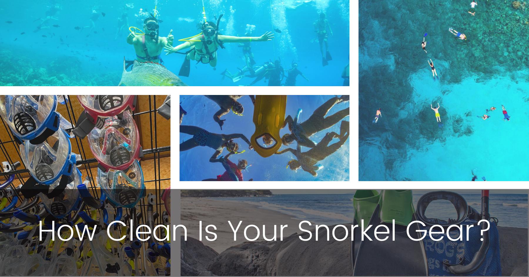 Mask & Snorkel Sanitization - How Clean is your Snorkel Gear?