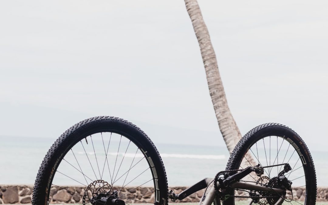 Maui Transportation: The Advantages of Electric Bikes