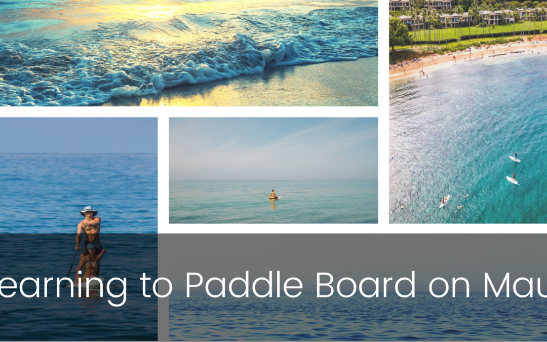 Paddleboarding On Maui