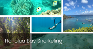 Honolua Bay Snorkeling Adventure