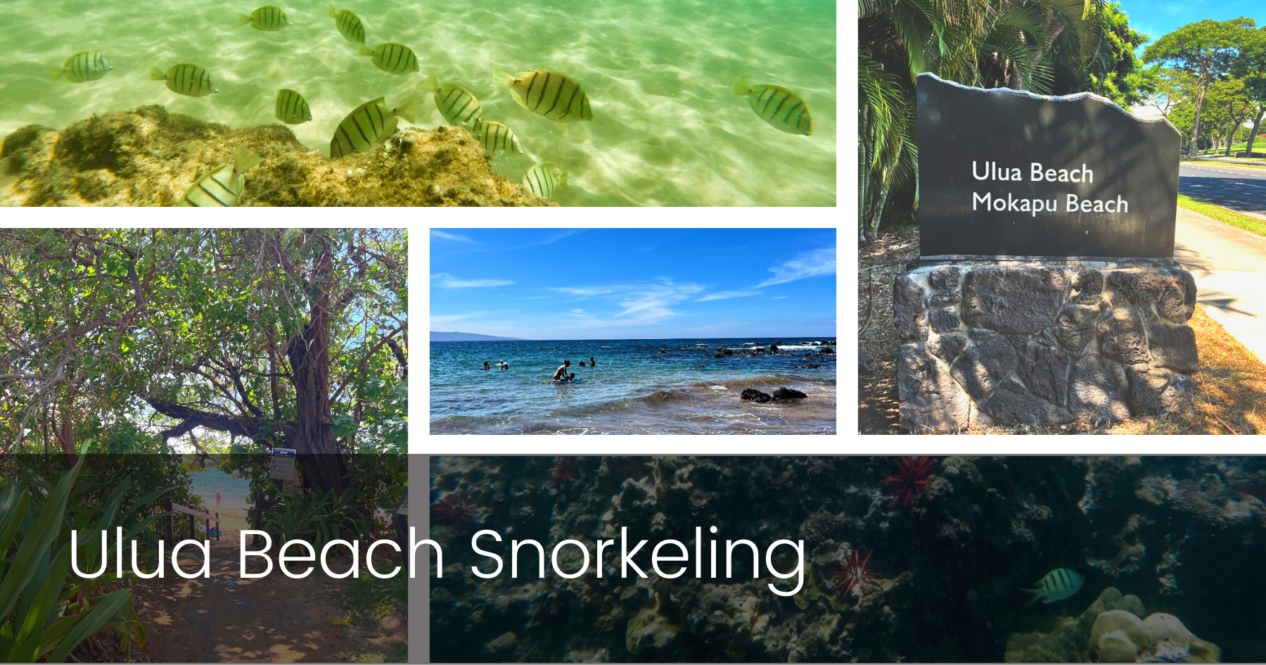 Ulua Beach Snorkeling