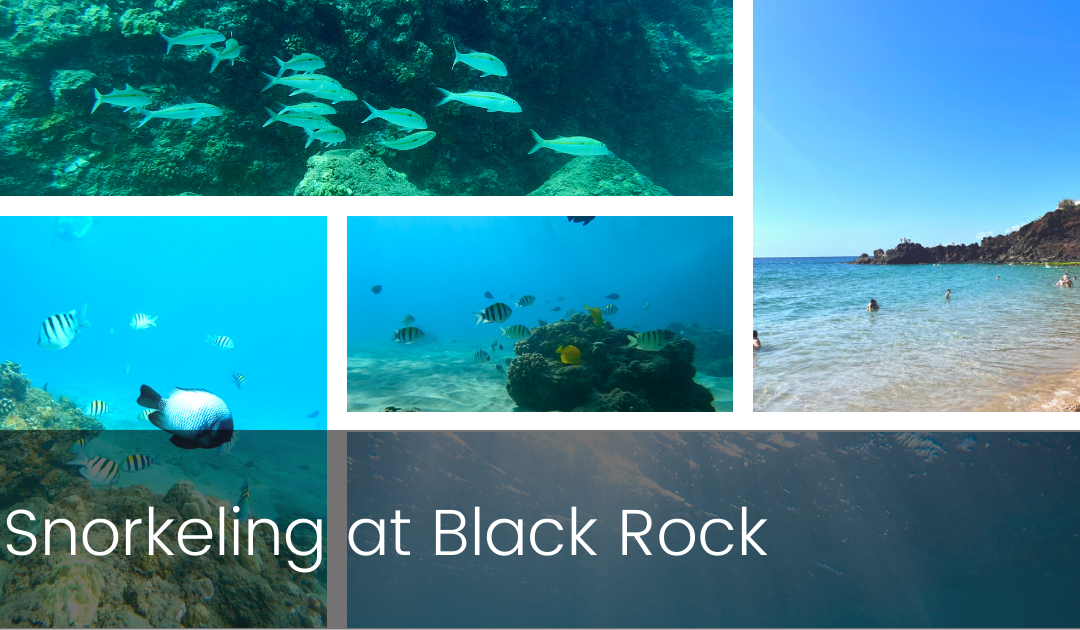 Snorkeling at Black Rock