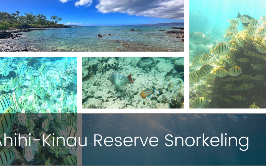 Snorkeling at Ahihi-Kinau Reserve