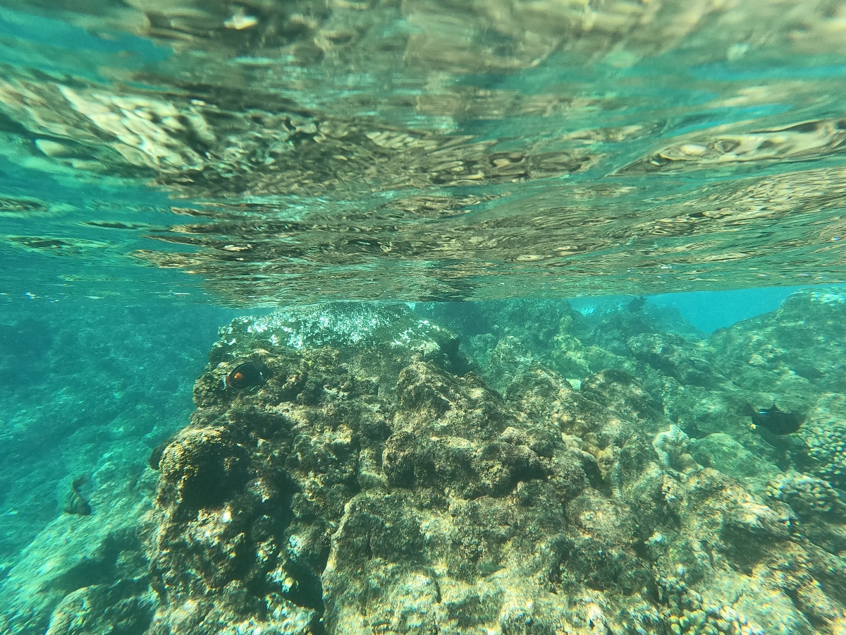 LaPerouse_Snorkeling