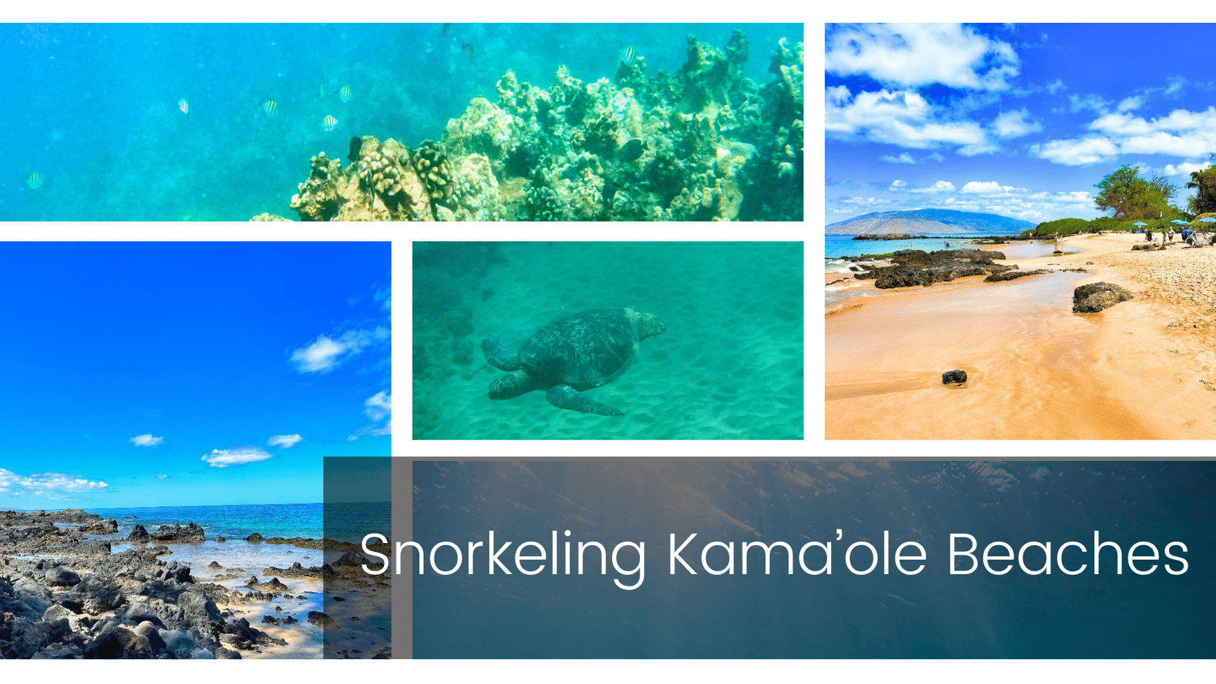 Snorkeling Kamaole Beach