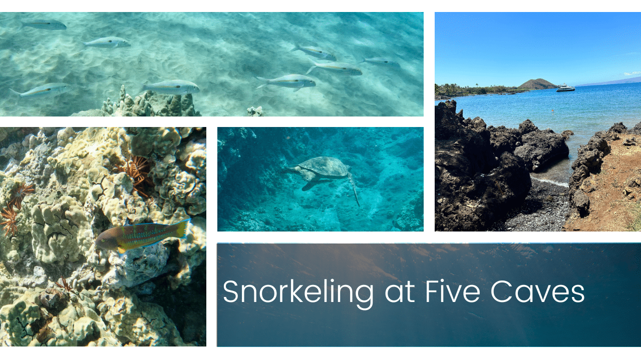 Snorkeling at Five Caves