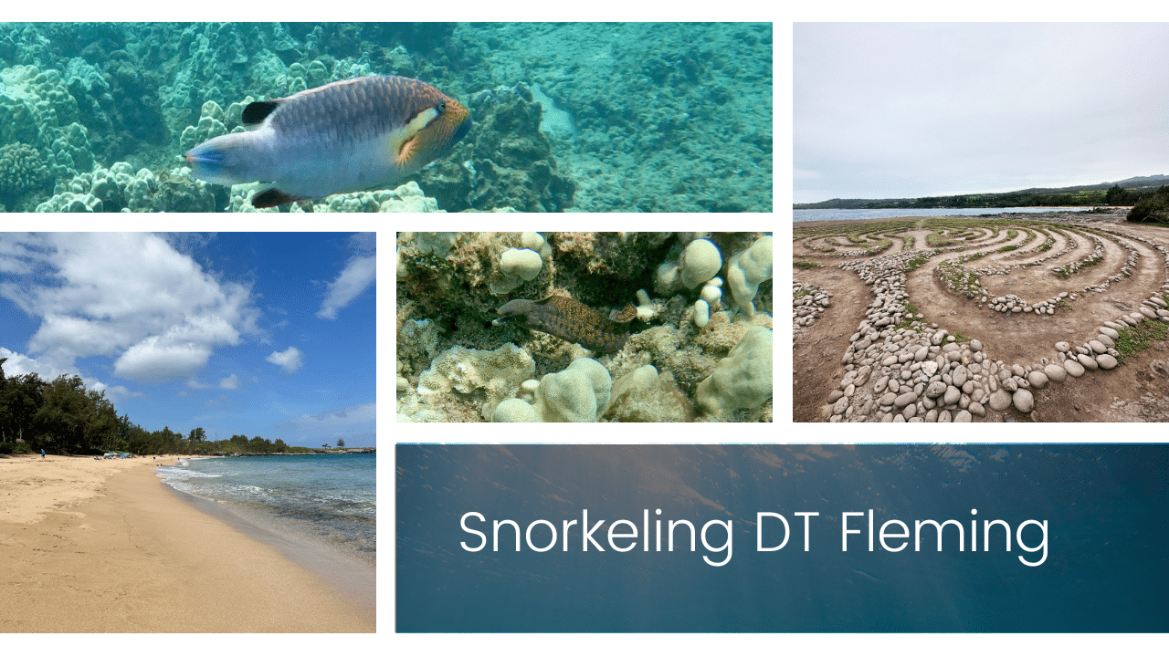 Snorkeling at DT Fleming