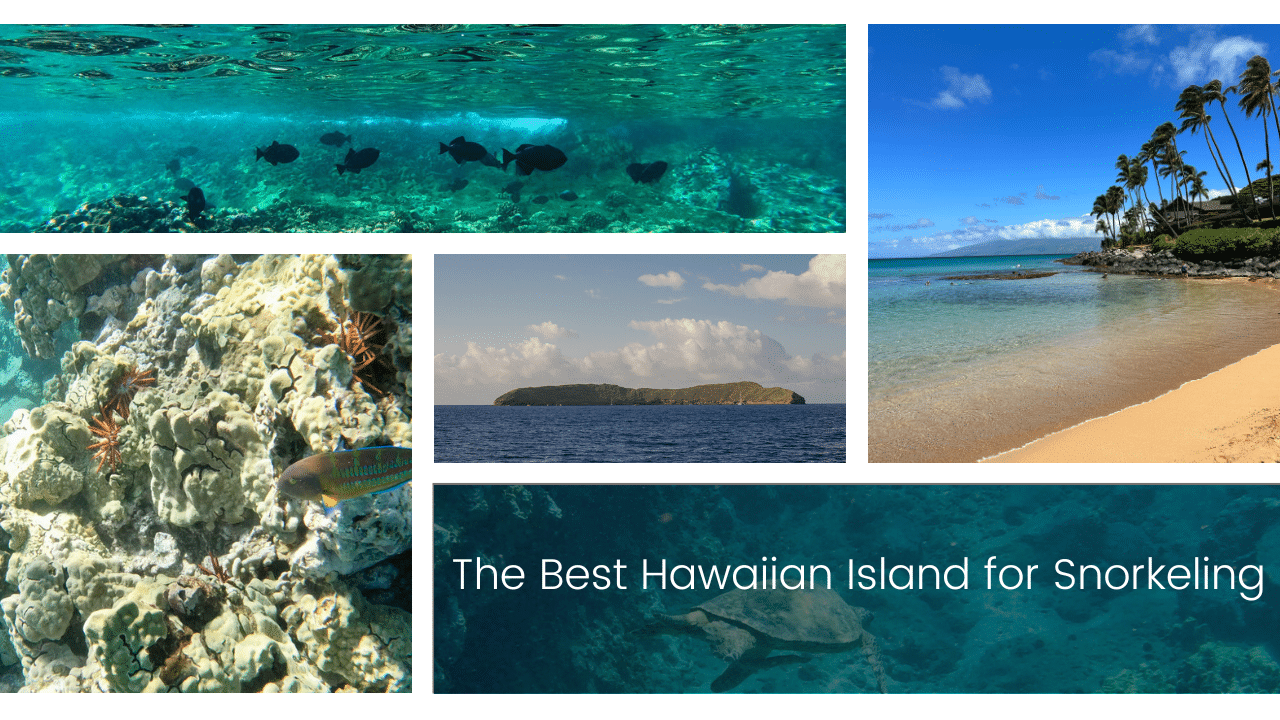 BestHawaiianIslandSnorkeling