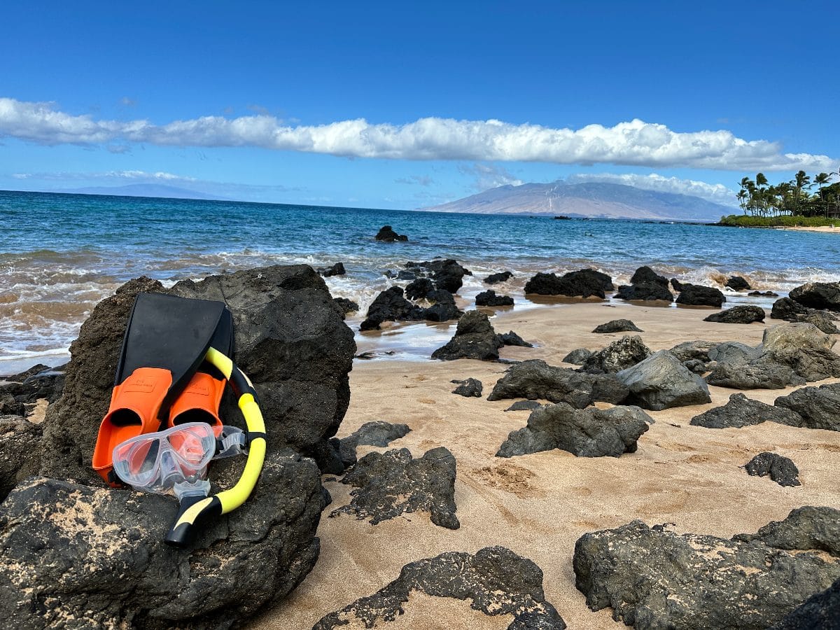 SnorkelSafety_Kihei