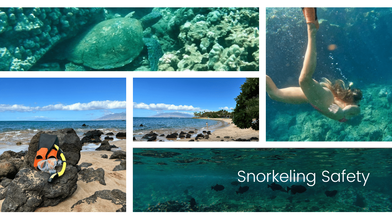 Snorkeling Safety