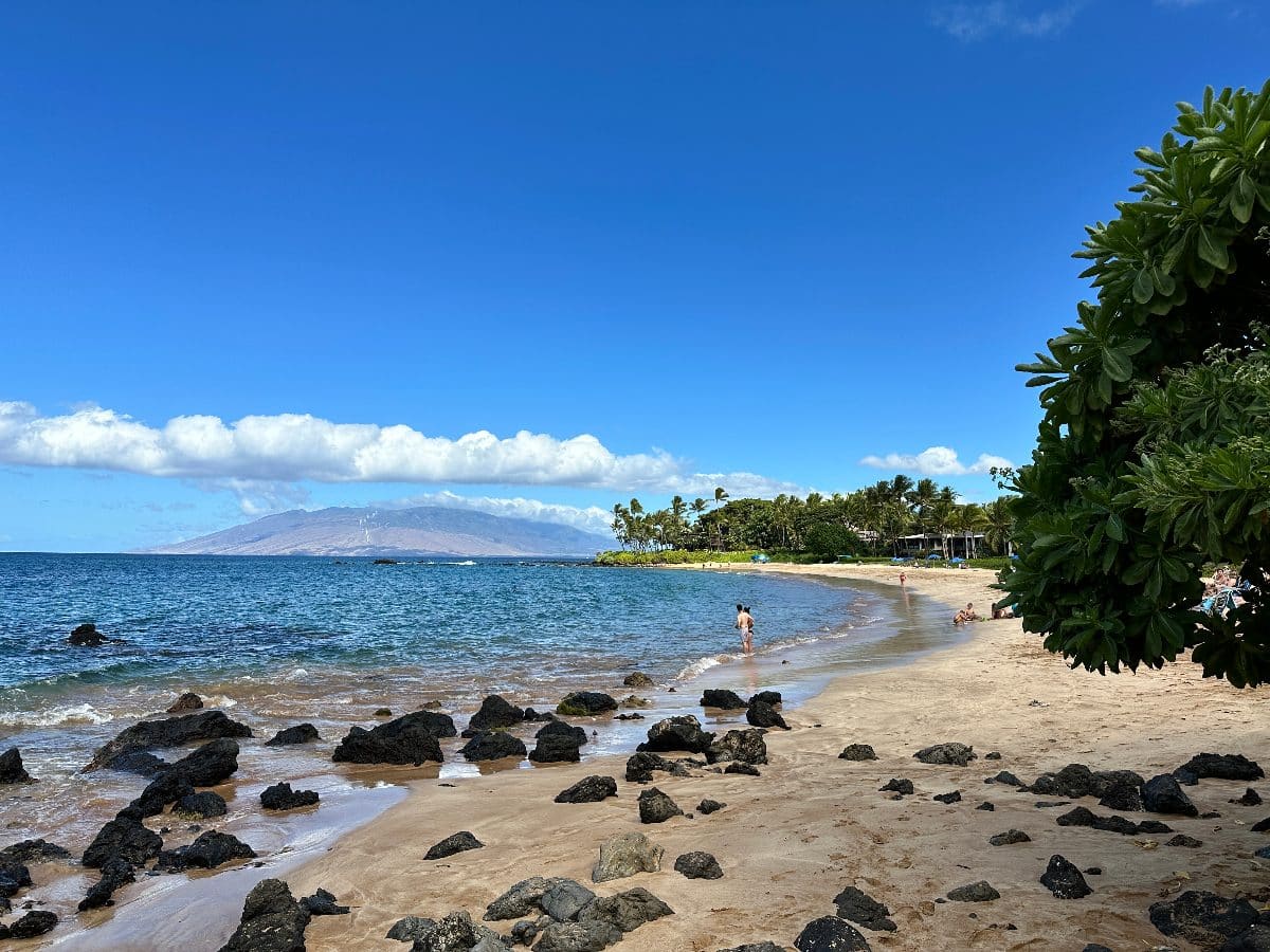 SnorkelingSafety_SnorkelingMaui