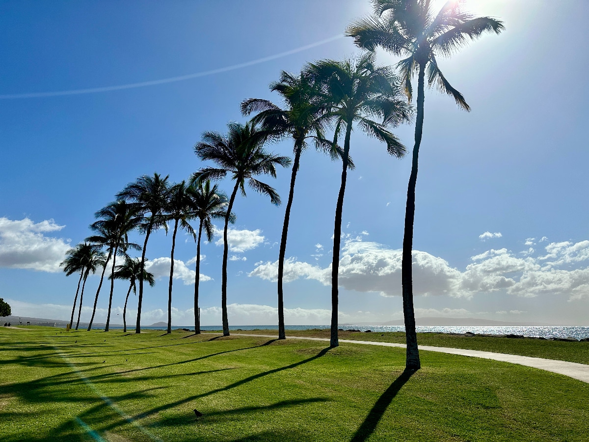 BikeRideOnMaui_BikePath